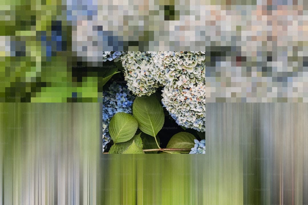 “我们领导的责任!这个锅只能他来背!”知名品牌:紧急道歉,全网下架!